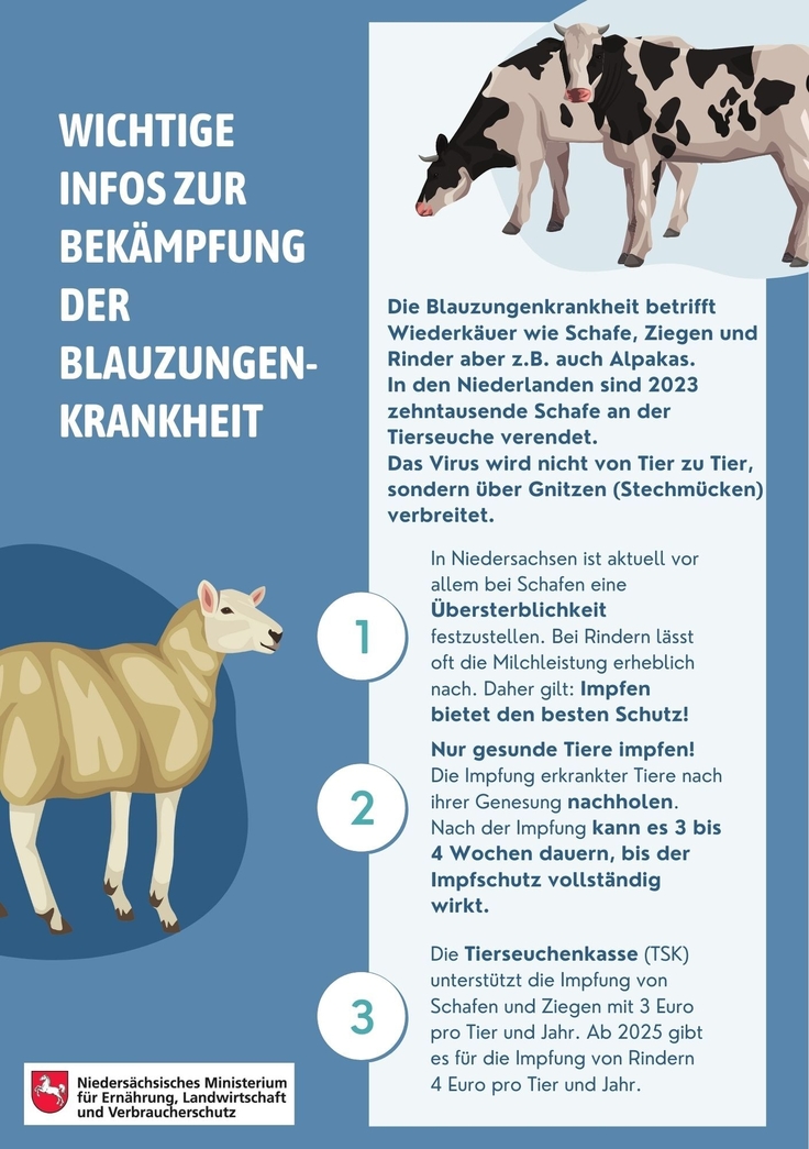 Flyer: Infos zur Bekämpfung der Blauzungenkrankheit