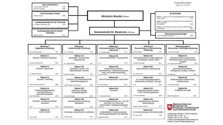 Grafik des Organigramms