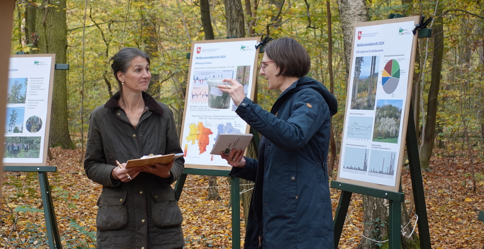 Foto: Ministerin Staudte im Wald