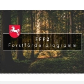 Forstförderprogramm, FFP2